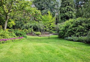 Optimiser l'expérience du jardin à Outremecourt